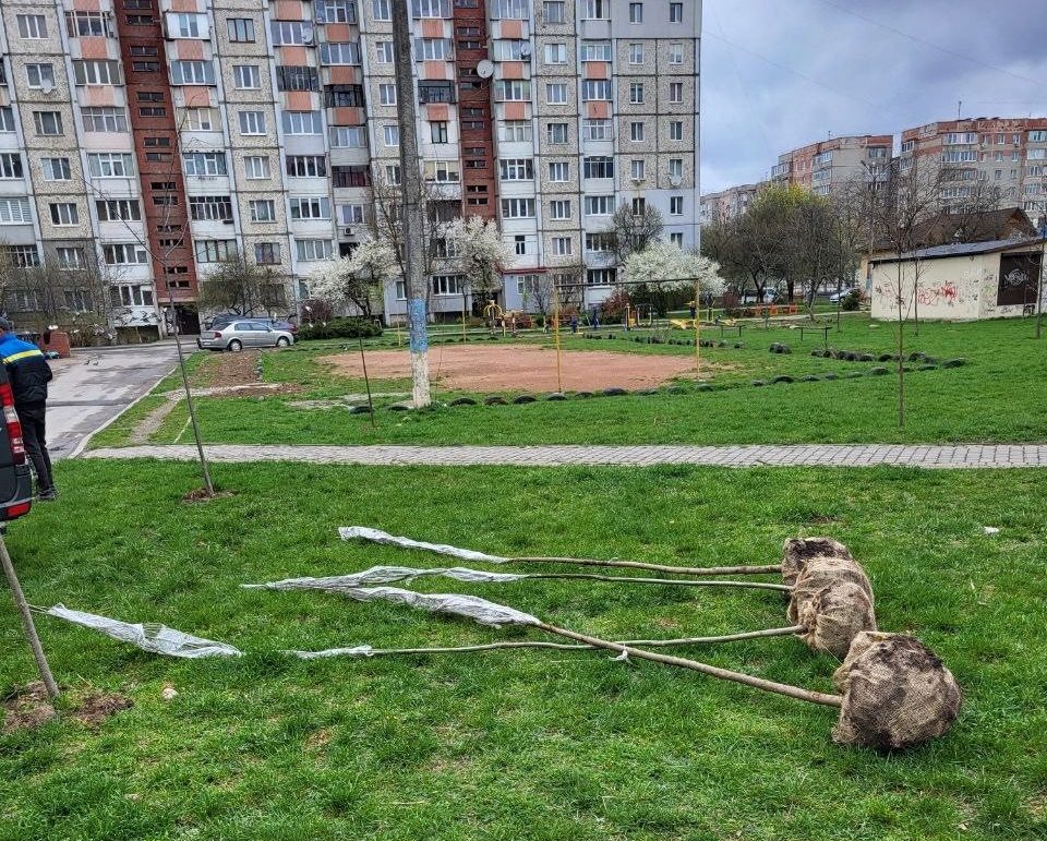 У Франківську розпочалася акція озеленення: мешканцям передали перші 40 саджанців